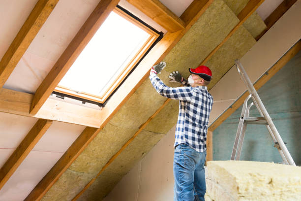 Types of Insulation We Offer in Tampa, FL